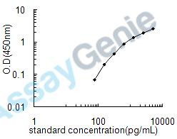 Rat Neurofilament light polypeptide (Nefl) ELISA Kit (RTEB0628)