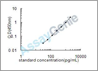 Rat Mitogen-activated protein kinase 1 (Mapk1) ELISA Kit (RTEB0756)