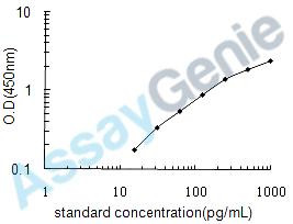 Rat Glucagon (Gcg) ELISA Kit (RTEB0823)