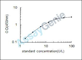 Rat Ornithine carbamoyltransferase, mitochondrial (Otc) ELISA Kit (RTEB1012)