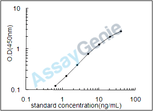 Rat Lumican (Lum) ELISA Kit (RTEB1023)