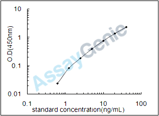 Rat Pyridoxal kinase (Pdxk) ELISA Kit (RTEB1176)