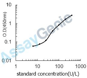 Rat Superoxide dismutase [Mn], mitochondrial (Sod2) ELISA Kit (RTEB1432)
