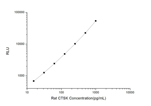 Rat CTSK (Cathepsin K) CLIA Kit (RTES00102)
