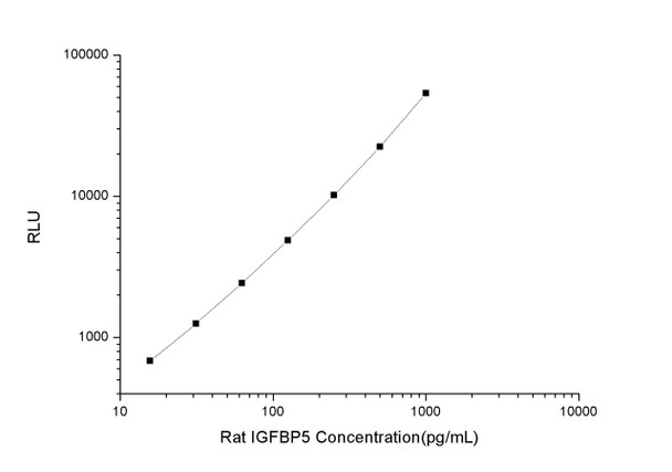 Rat IGFBP5 (Insulin Like Growth Factor Binding Protein 5) CLIA Kit (RTES00312)