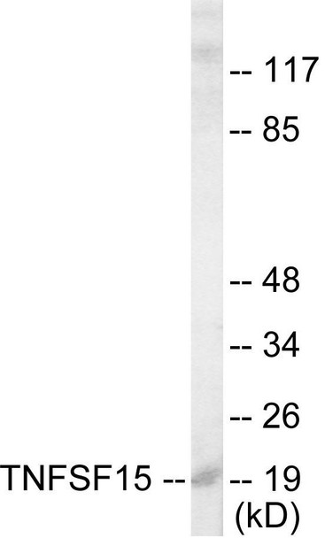 TNFSF15 Colorimetric Cell-Based ELISA (CBCAB00960)