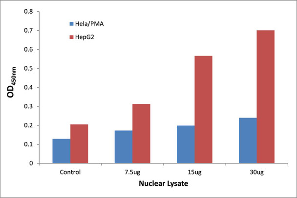 STAT1 (Phospho-Tyr701)Transcription Factor Activity Assay (TFAB00062)