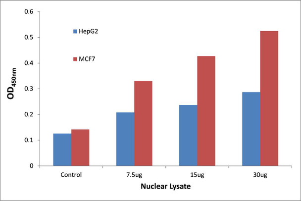 p53 (Phospho-Ser33)Transcription Factor Activity Assay (TFAB00068)