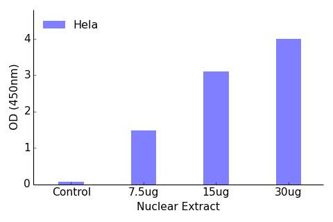 ATF1 Transcription Factor Activity Assay (TFAB00082)