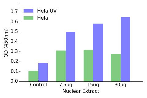 ATF7 Transcription Factor Activity Assay (TFAB00086)