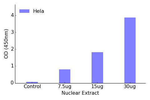 CREB Transcription Factor Activity Assay (TFAB00087)