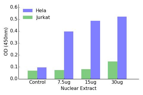 ELF5 Transcription Factor Activity Assay (TFAB00095)
