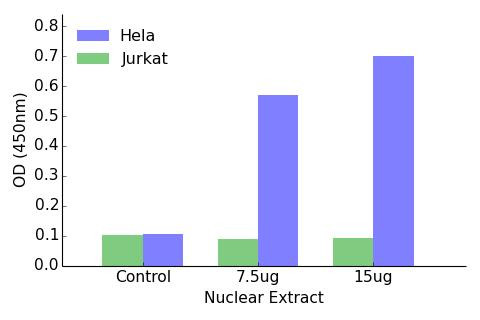 SPI1 Transcription Factor Activity Assay (TFAB00102)