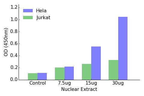 RFX3 Transcription Factor Activity Assay (TFAB00157)