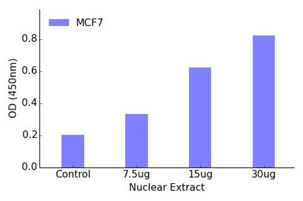 Thyroid Hormone Receptor beta Transcription Factor Activity Assay (TFAB00174)
