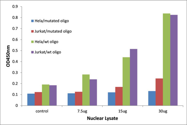 Retinoid X Receptor gamma Transcription Factor Activity Assay (TFAB00176)