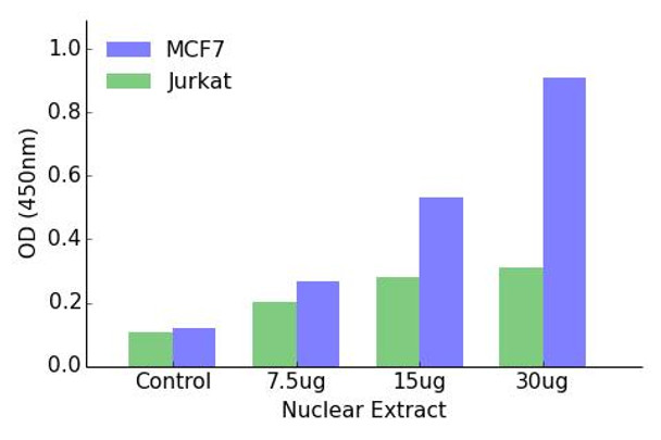 EGR1/2 Transcription Factor Activity Assay (TFAB00177)