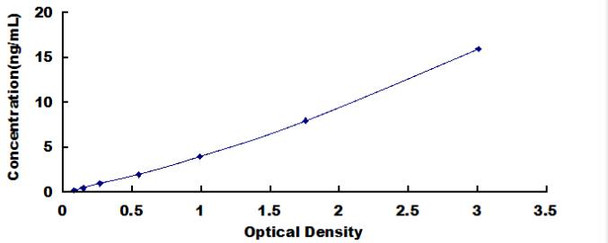Human Beta-Site APP Cleaving Enzyme 1 (bACE1) ELISA Kit (HUDL00303)
