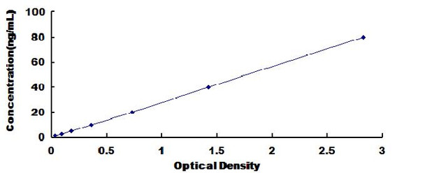 Rat Mitogen Activated Protein Kinase 14 (MAPK14) ELISA Kit (RTDL00650)