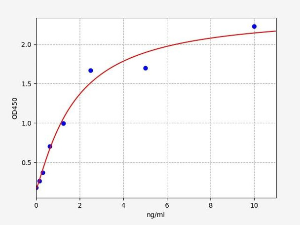 Bovine MMP13 (Matrix Metalloproteinase 13) ELISA Kit (BOFI00148)