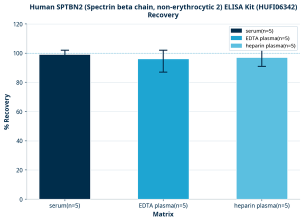 Human SPTBN2 (Spectrin beta chain, non-erythrocytic 2) ELISA Kit (HUFI06342)