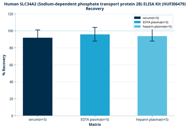 Human SLC34A2 (Sodium-dependent phosphate transport protein 2B) ELISA Kit (HUFI06479)