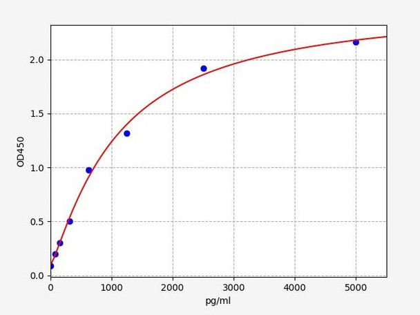 Rat ATG5 ( autophagy protein 5) ELISA Kit (RTFI01413)