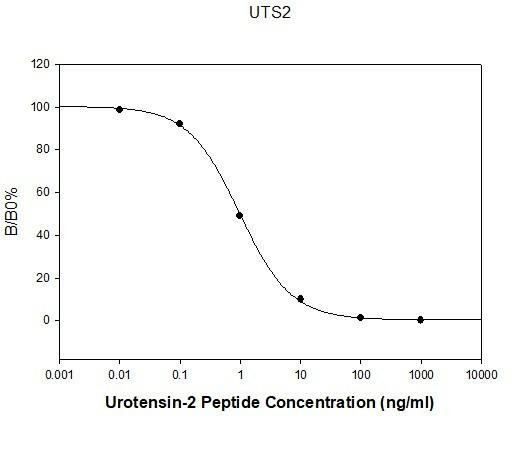 Rat Urotensin-2 PharmaGenie ELISA Kit (SBRS0166)