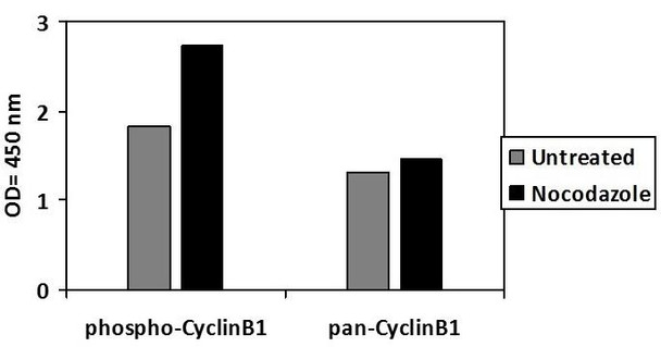 Human Phospho-DDR1 (Y792) PharmaGenie ELISA Kit (SBRS1783)