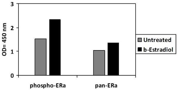 Human Phospho-Estrogen receptor (S118) and Total Estrogen receptor PharmaGenie ELISA Kit (SBRS1814)