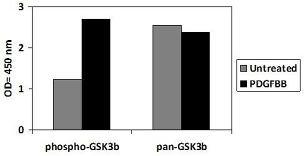 Human/Mouse/Rat Phospho-GSK3b (S9) and Total GSK3b PharmaGenie ELISA Kit (SBRS1845)