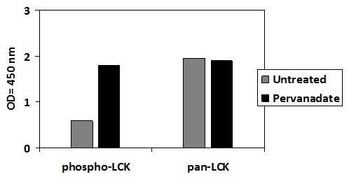 Human Phosphotyrosine LCK PharmaGenie ELISA Kit (SBRS1878)
