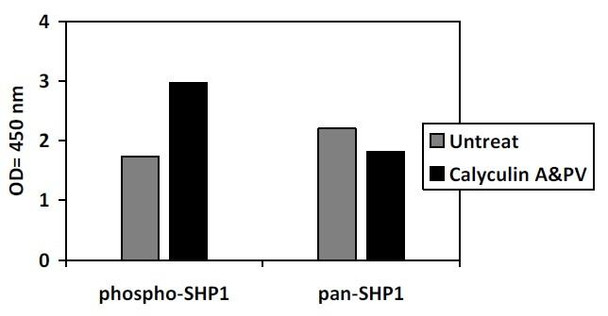 Human and Mouse Phospho-SHP1 (S591) and Total SHP1 PharmaGenie ELISA Kit (SBRS1965)