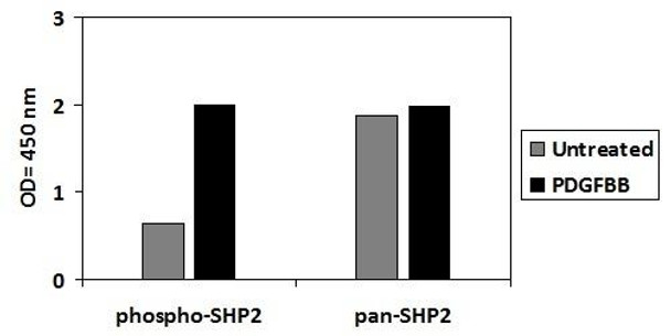 Human/Mouse/Rat Phospho-SHP2 (Y542) and Total SHP2 PharmaGenie ELISA Kit (SBRS1967)