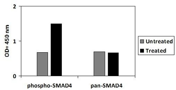 Human Phospho-SMAD4 (Thr277) and Total SMAD4 PharmaGenie ELISA Kit (SBRS1973)