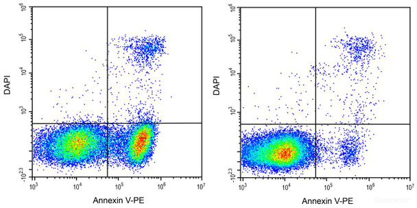 Annexin V-PE Reagent (AKES011)