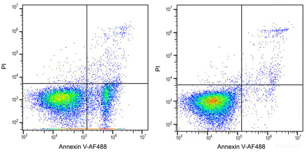 Annexin V-AF488 Azide-Free Lyophilized Powder (AKES026)