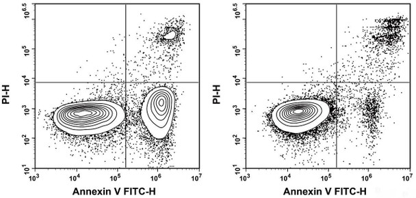 Annexin V-FITC/PI Apoptosis Kit (AKES032)