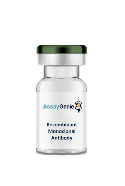 Mouse Anti-PD-1 (CD279) Fc Reduced (LALA-PG) Recombinant Monoclonal Antibody (IVMB0280)