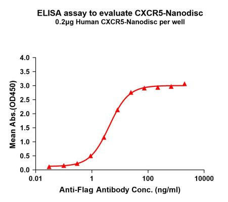 Human CXCR5 Full-Length Bioactive Membrane Protein (HDFP048)