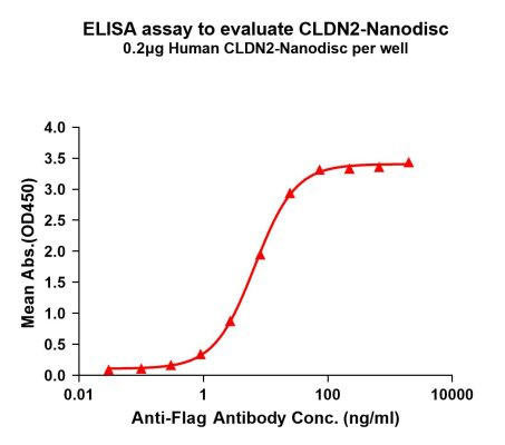 Human CLDN2 Full-Length Bioactive Membrane Protein (HDFP063)
