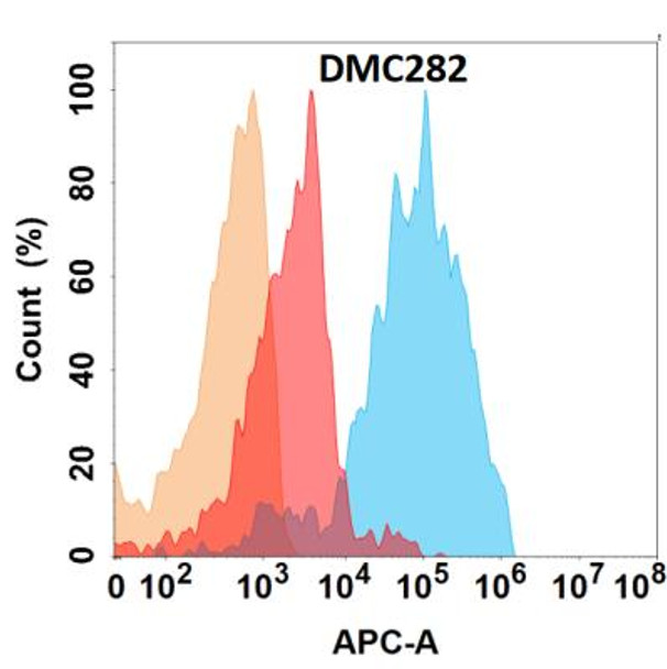 Anti-IL11RA Chimeric Recombinant Rabbit Monoclonal Antibody (HDAB0240)