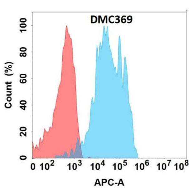 Anti-HER2 Chimeric Recombinant Rabbit Monoclonal Antibody (HDAB0252)