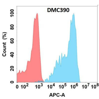 Anti-FOLR2 Chimeric Recombinant Rabbit Monoclonal Antibody (HDAB0258)