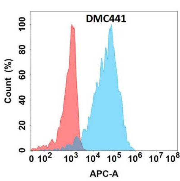 Anti-CD5L Chimeric Recombinant Rabbit Monoclonal Antibody (HDAB0279)