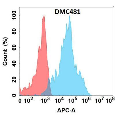 Anti-ADGRE1 Chimeric Recombinant Rabbit Monoclonal Antibody (HDAB0307)