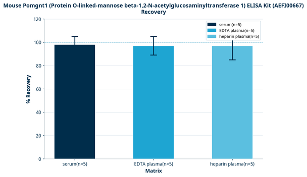 Mouse Pomgnt1 (Protein O-linked-mannose beta-1,2-N-acetylglucosaminyltransferase 1) ELISA Kit (AEFI00667)