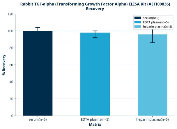 Rabbit TGF-alpha (Transforming Growth Factor Alpha) ELISA Kit (AEFI00836)