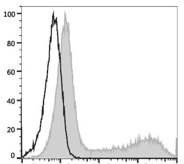 APC Anti-Human/Mouse IL-5 Antibody [TRFK5] (AGEL3283)