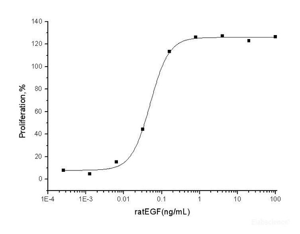 Rat EGF Recombinant Protein (RPES6815)